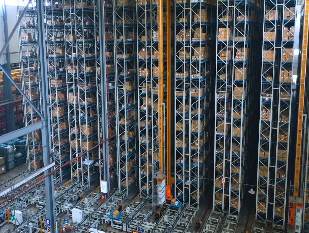 ������ò